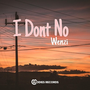 Обложка для Wenzi - I Dont No