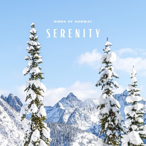 Обложка для Birds of Norway - Serenity