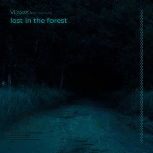 Обложка для Vilaxxs feat. Meltone - lost in the forest