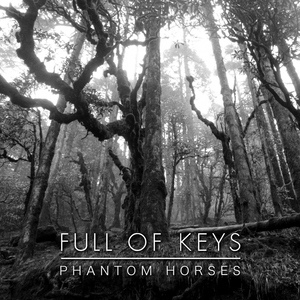 Обложка для Full Of Keys - Phantom Horses