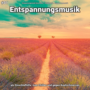 Обложка для Entspannungsmusik Sina Donen, Schlafmusik, Entspannungsmusik - Entspannungsmusik pt. 17
