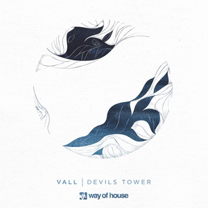 Обложка для Vall - Devils Tower