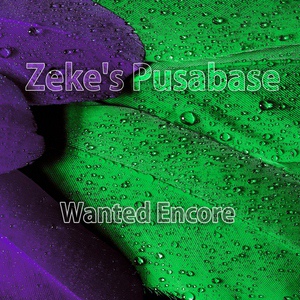 Обложка для Zeke's Pusabase - Funky Flames