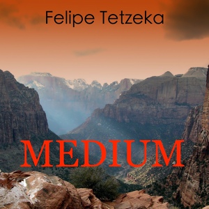 Обложка для Felipe Tetzeka - Free Island