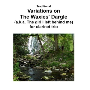 Обложка для David Warin Solomons, Sasha Chenkof, Dieter Detmold, Yuri Chestikof - Variations on The Waxies' Dargle (The girl I left behind me) for clarinet trio