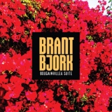 Обложка для Brant Bjork - Broke that Spell