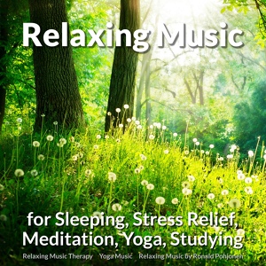 Обложка для Relaxing Music Therapy, Yoga Music, Relaxing Music by Ronald Pohjonen - Dreamy Yoga Music for Your Body