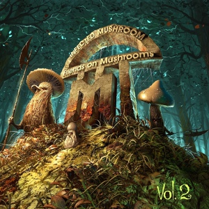 Обложка для Infected Mushroom feat. Savant - Savant on Mushrooms