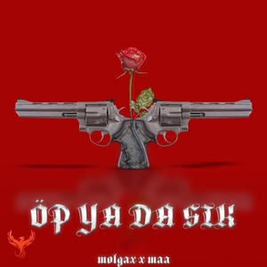 Обложка для Molgax, MAA - Öp Ya Da Sık