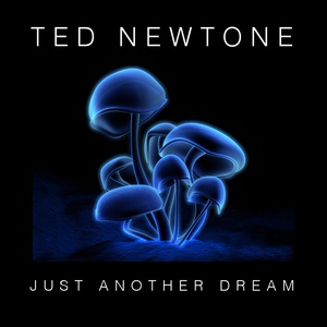 Обложка для Ted Newtone - Just Another Dream