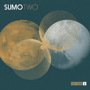 Обложка для SUMO - Seti1