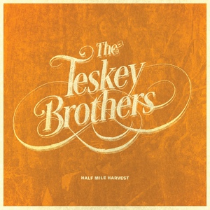 Обложка для The Teskey Brothers - Hard Feeling