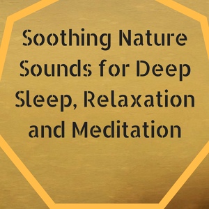 Обложка для Soothing Music for Sleep Academy - Soothing Nature Sounds for Deep Sleep, Relaxation and Meditation