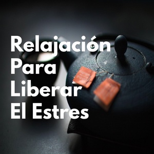 Обложка для Paul Lugian - Relajación Para Liberar El Estres
