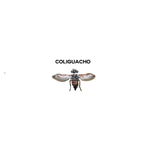 Обложка для Coliguacho - El Esmog, Pts 1 & 2