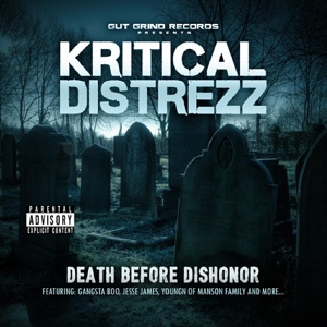 Обложка для Kritical Distrezz - Lunatic