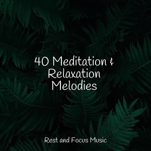 Обложка для Wellness, Meditação Yoga, Egyptian Meditation Temple - Calming Waves