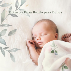Обложка для Canciones de Cuna para Bebés Acadèmico - Canción de Cuna de Ruido Púrpura