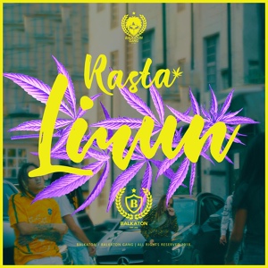 Обложка для Rasta - Limun