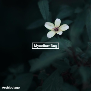 Обложка для MyceliumBug - Parrot