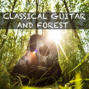 Обложка для Гитара - Классичесская Гитара и звуки Природы #10