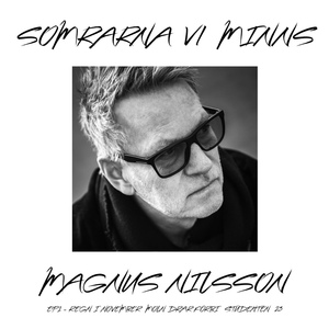 Обложка для Magnus Nilsson - Regn i November