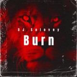 Обложка для DJ Solovey - Burn