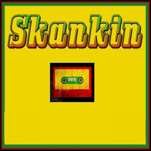 Обложка для D-Votion - Skankin