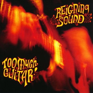 Обложка для Reigning Sound - When You Touch Me