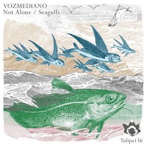 Обложка для Vozmediano - Seagulls