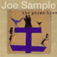 Обложка для Joe Sample - The Pecan Tree