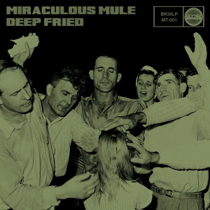 Обложка для Miraculous Mule - Early In The Mornin'