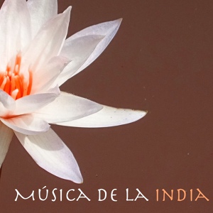Обложка для Música De La India - Meditacion Profunda