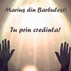 Обложка для Marius Din Barbulesti - Tu prin credinta