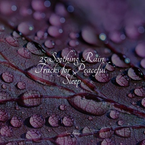 Обложка для Nature and Rain, Instrumental, Massagem Guru - Rainy Beach