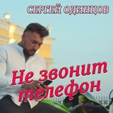 Обложка для С.Одинцов - Не звонит телефон ( New 2023 )