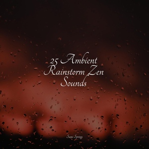 Обложка для Shakuhachi Sakano, Instrumental, Rain Shower Spa - Rainflows
