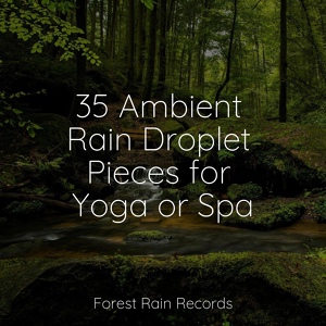 Обложка для Sleep Sound Library, Tranquility Spa Universe, Regen - Forest, Calm Wind, Birds, Insects