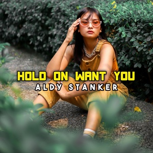 Обложка для Aldy Stanker feat. Andre breakz - Hold On Want You