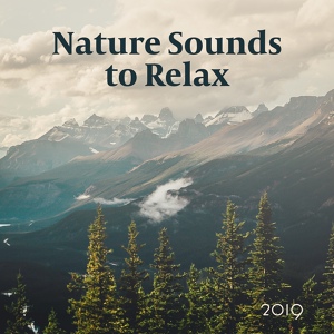 Обложка для Echoes of Nature, Relaxing Music - Meditation Sounds