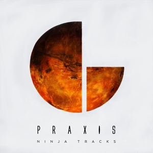 Обложка для Ninja Tracks - Orion