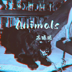 Обложка для 苏球球 - Animals