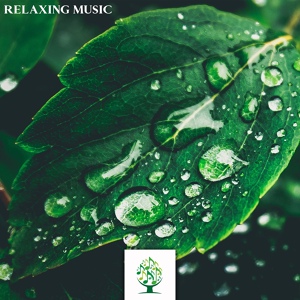 Обложка для Mother Nature Sound FX - Healing Life Energy