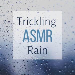 Обложка для ASMR Trigger Ora - Sound of Raindrops