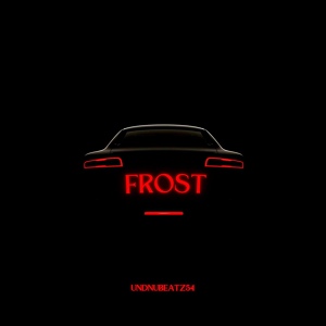 Обложка для UndNuBeatz54 - Frost