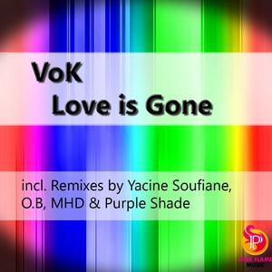 Обложка для Vok - Love Is Gone