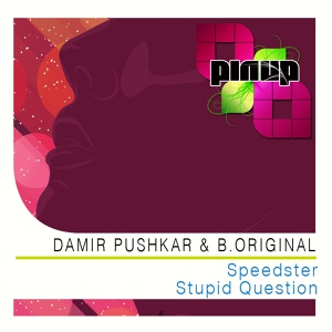 Обложка для Damir Pushkar, B.Original - Stupid Question