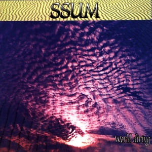 Обложка для Ssum - Satin