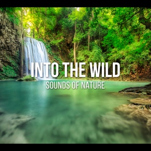 Обложка для Hypnosis Nature Sounds Universe - Into the Wild