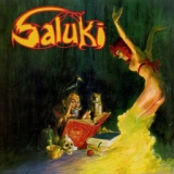 Обложка для Saluki - Come Down
